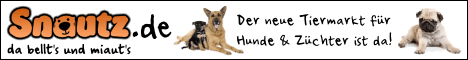 banner hunde 468x60
