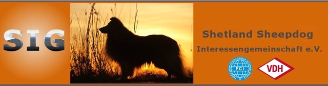 gs_17_000131.jpg - 65,84 kB