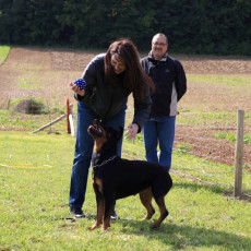 Korbspiel 21 09 08 003