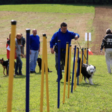 20m Slalom 21 09 08 011