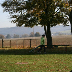 2008 10 18 Teamtest klein 0022