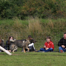 Jogis HuSchu Sommerfest 08 113
