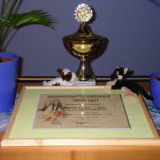 Teamstest Mannschaft0005