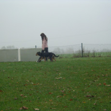 Teamtest HSV 20070002