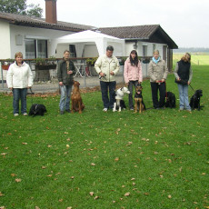 Teamtest HSV 20070019