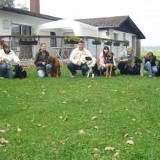 Teamtest HSV 20070020