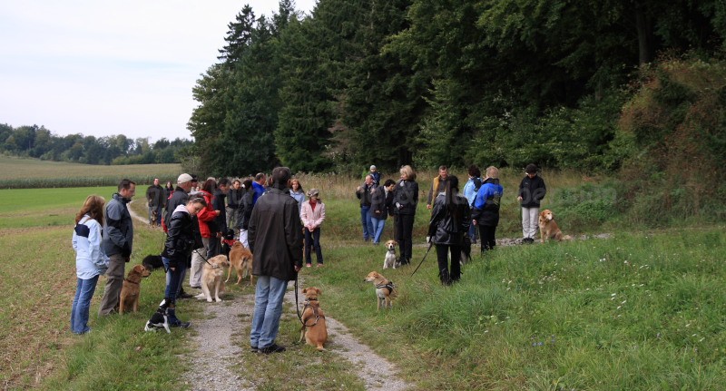 Gruppe4 Quadrille 21 09 08 002 21.09.2008 10 55 11