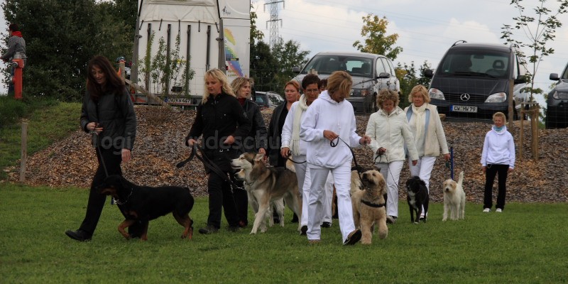 Gruppe4 Quadrille 21 09 08 002 21.09.2008 15 05 00