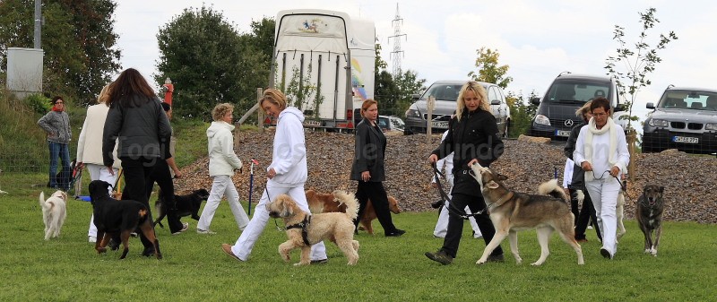 Gruppe4 Quadrille 21 09 08 002 21.09.2008 15 06 21