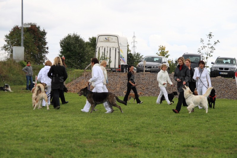 Gruppe4 Quadrille 21 09 08 002 21.09.2008 15 06 23