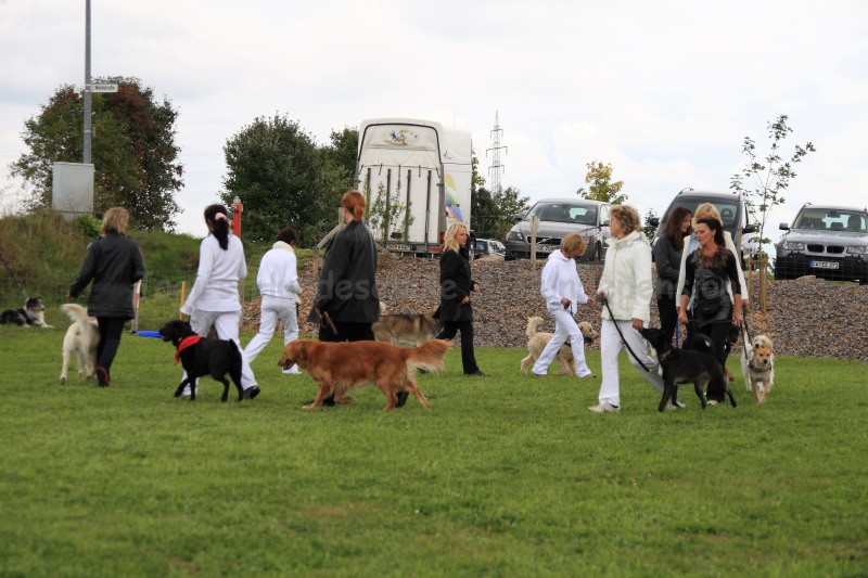 Gruppe4 Quadrille 21 09 08 002 21.09.2008 15 06 27