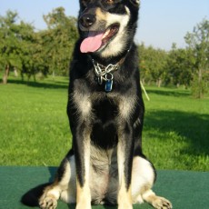 2004 09 05 Bella0064