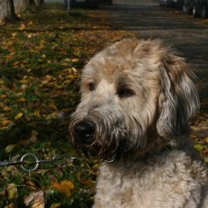 2008 10 18 Teamtest klein 0007