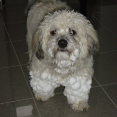 Einstein in Zavelstein 02