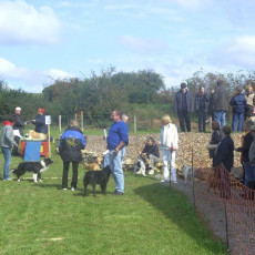 Sommerfest 2008 i 015