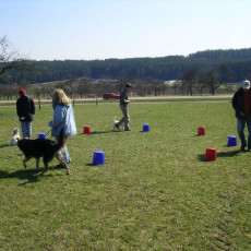 06 04 08 Sonnentraining0003 i