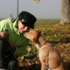 normal 2008 10 18 Teamtest klein 0011