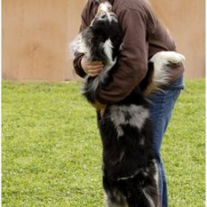 normal 2008 SF Dittus 057