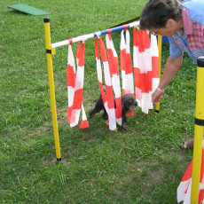 Uschi s Vormittagsgruppe0016 i 0